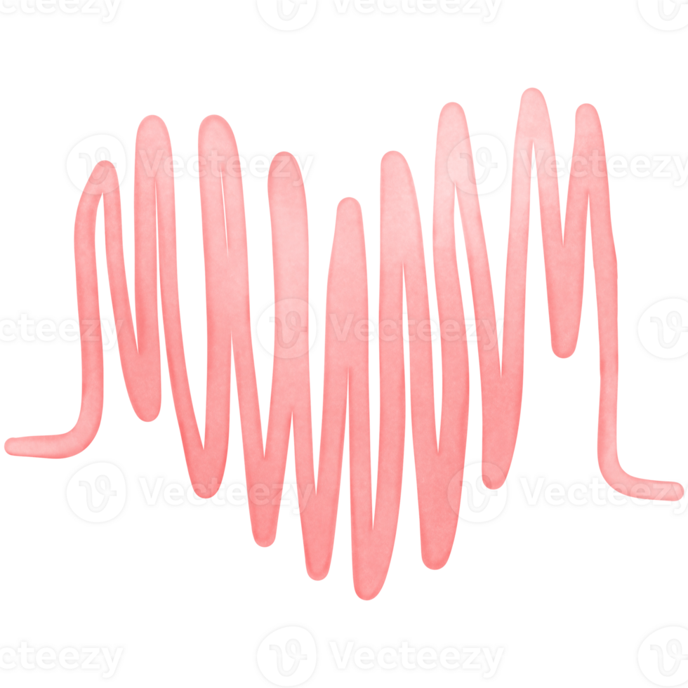 heart rate isolated on transparent background png