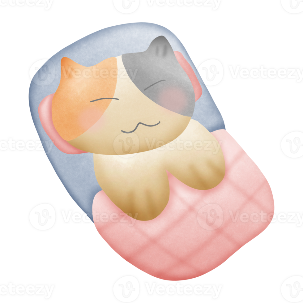 a cat sleeping on a pillow and blanket on top isolated on transparent background png