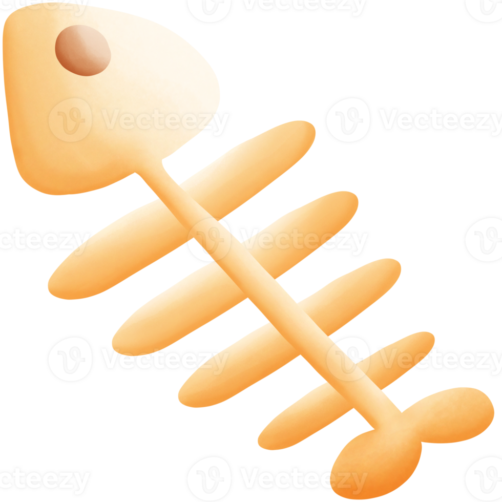Fish bone isolated on transparent background png