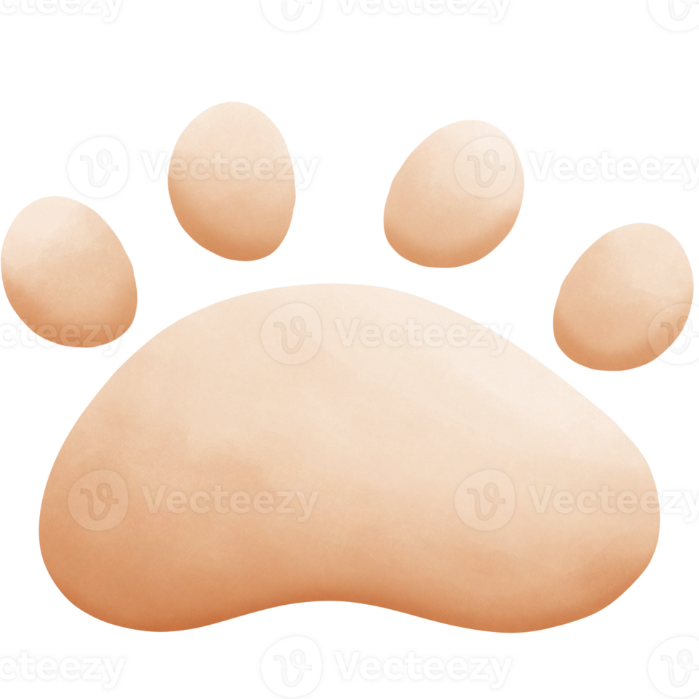 Brown cat footprints isolated on transparent background png