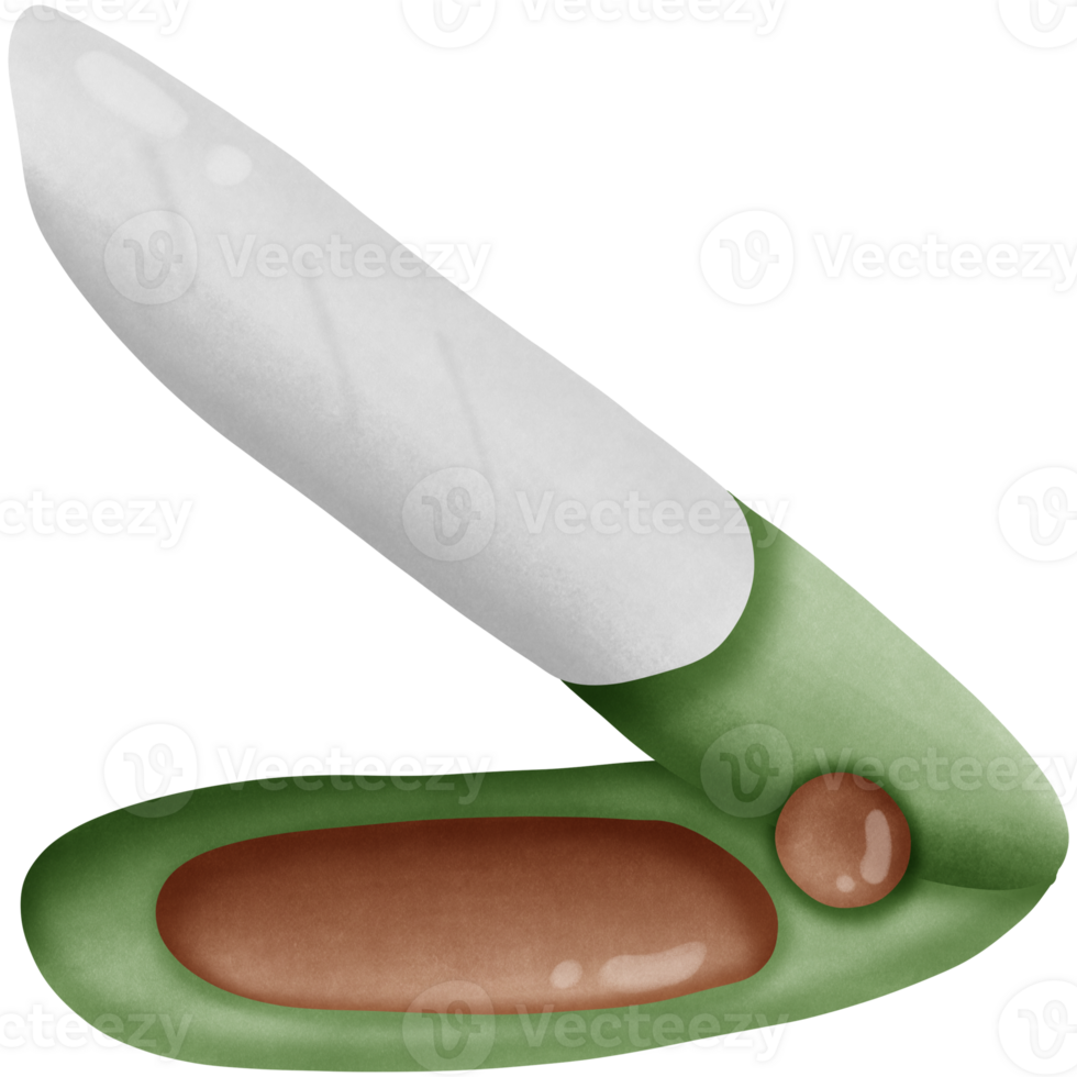 en grön och vit ficka kniv med en brun hantera isolerat på transparent bakgrund png