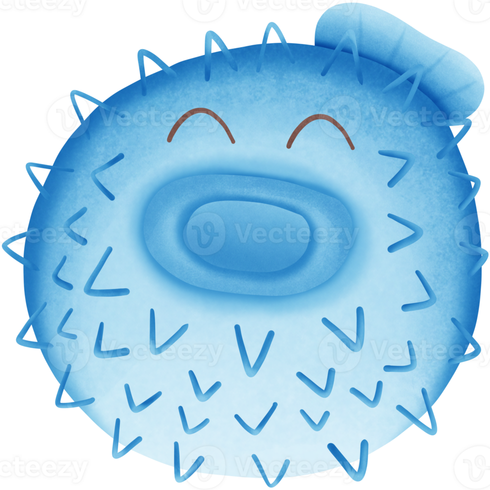 a puffer fish isolated on transparent background png