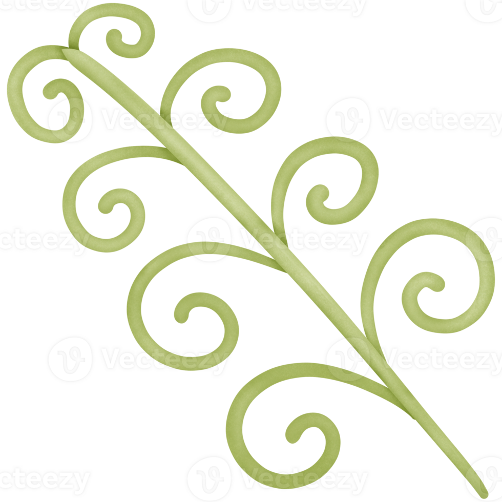 a green leaf isolated on transparent background png