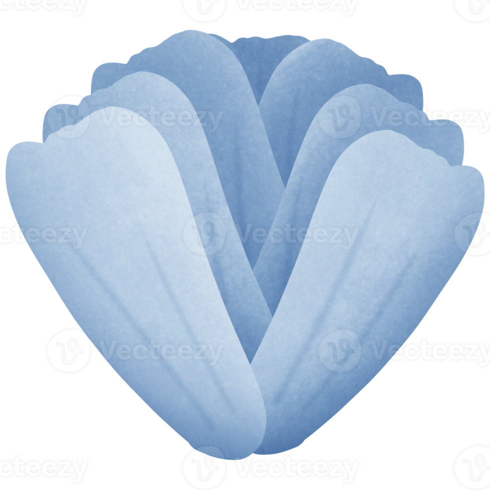 blue flower isolated on transparent background png