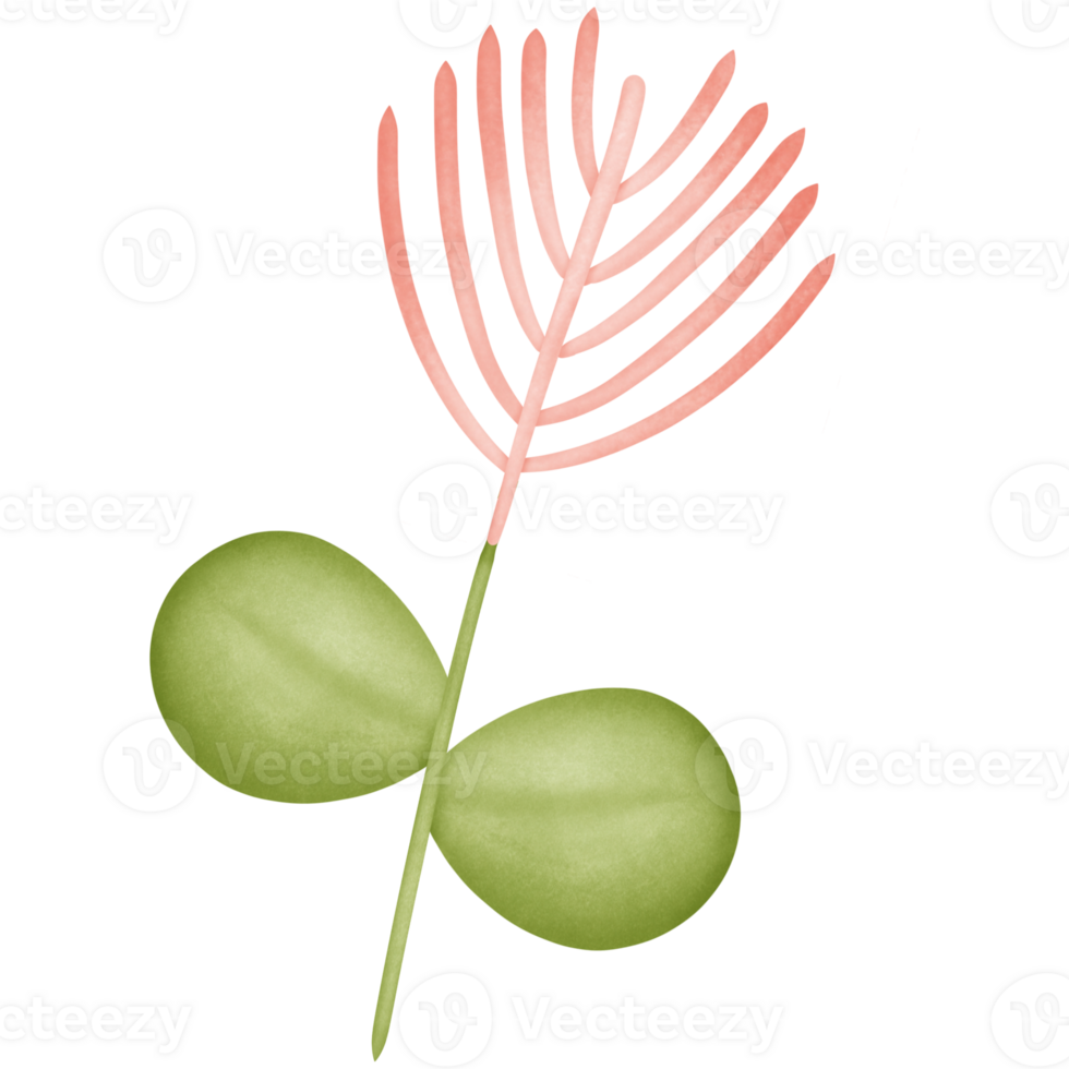 flower in the stem isolated on transparent background png