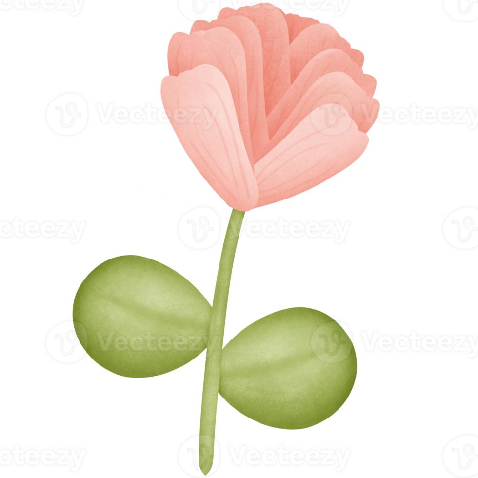 flower in the stem isolated on transparent background png