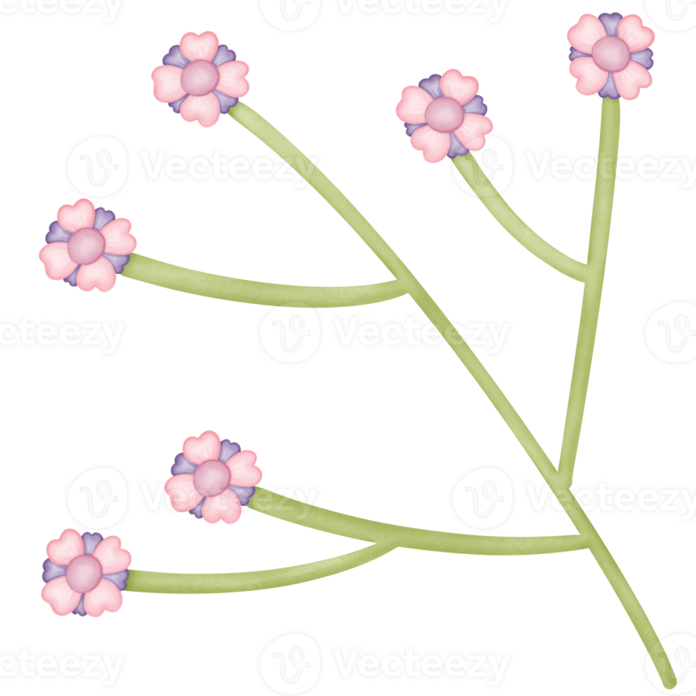 flowers in the branches isolated on transparent background png