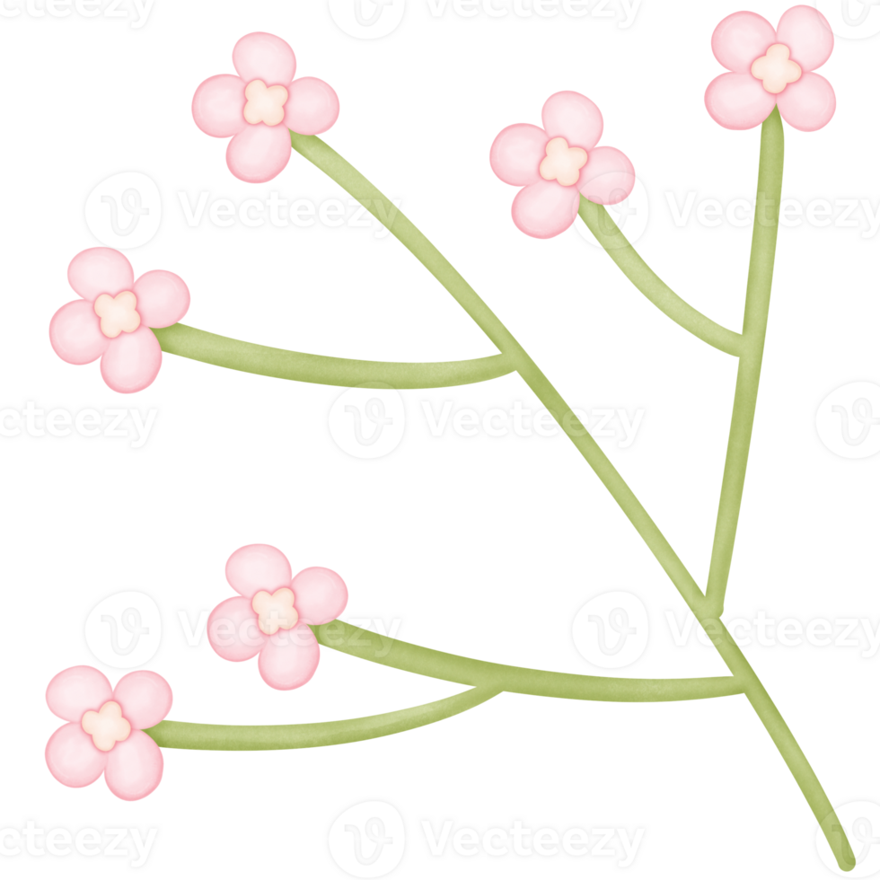 flowers in the branches isolated on transparent background png