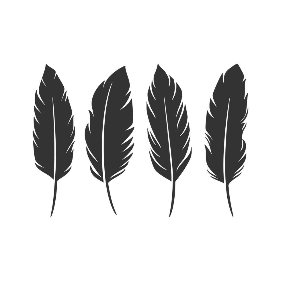 Bird Feather black set collection vector