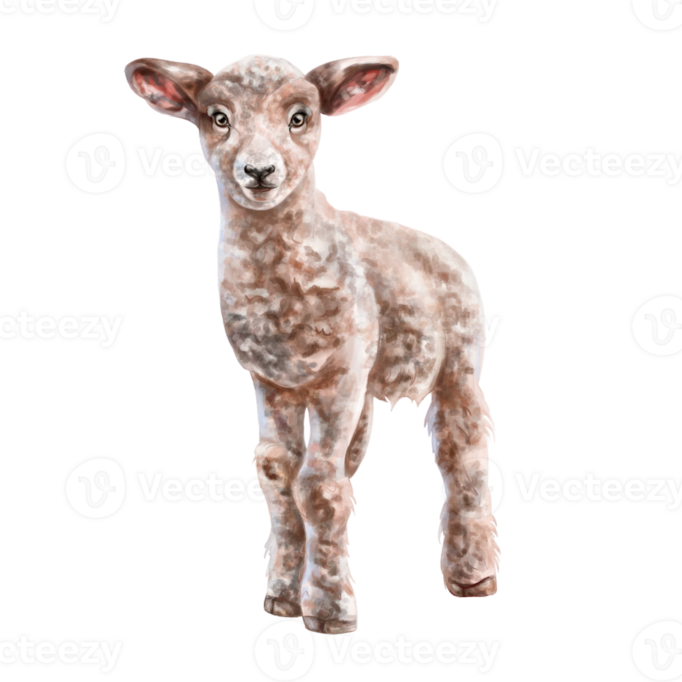 Cute fluffy lamb of light brown color in full growth. Digital illustration. Isolated objects. From the farmer's collection. For compositions, design, prints, stickers, posters, postcards png