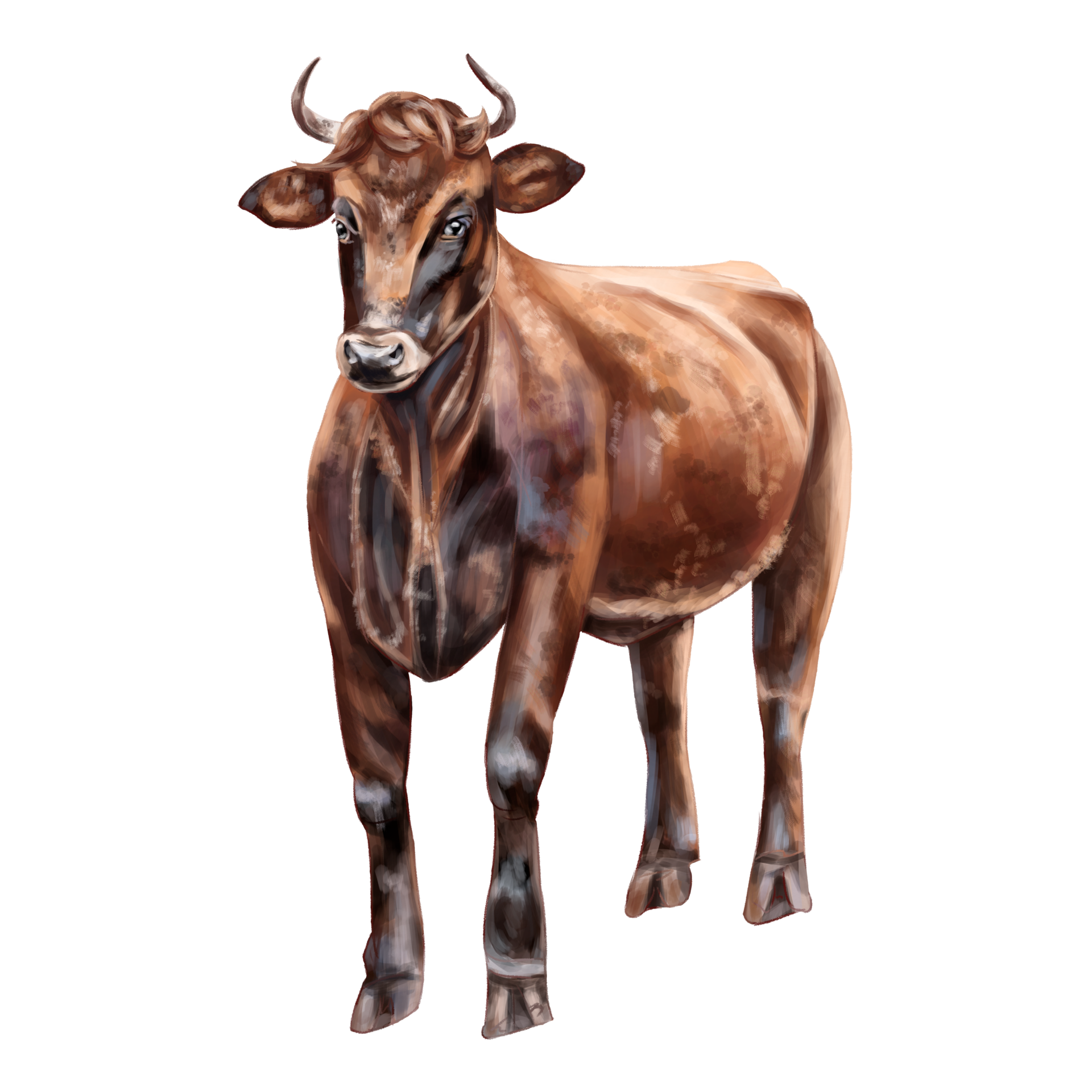 A red bull with spots and horns in full growth. Digital illustration