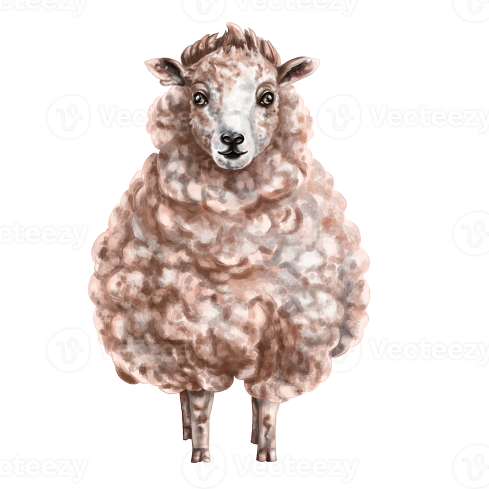 Fluffy milk-colored sheep in full growth. Digital illustration. Isolated objects. From the farmer's collection. For compositions, design, prints, stickers, posters, postcards, children's decoration png