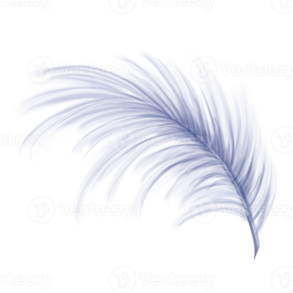 Elegant fluffy bluish feather of a swan, goose. Decorative element for theatrical costumes, carnival outfits, hats, bouquets of flowers and souvenirs. Digital illustration png