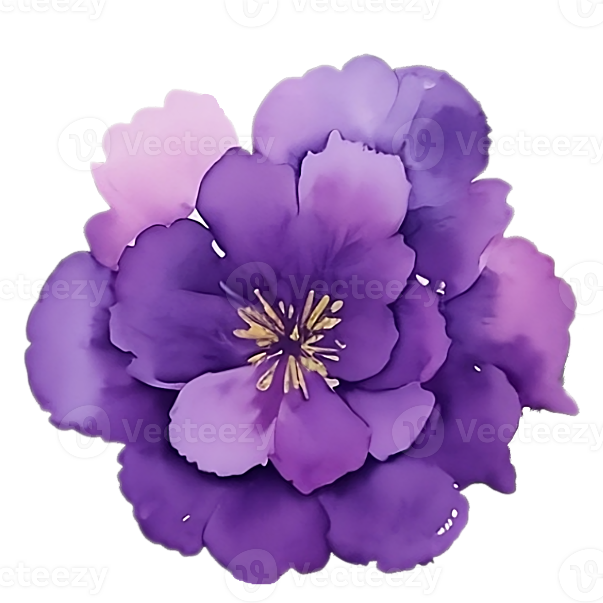 Violet flower watercolor clip art 27131729 PNG
