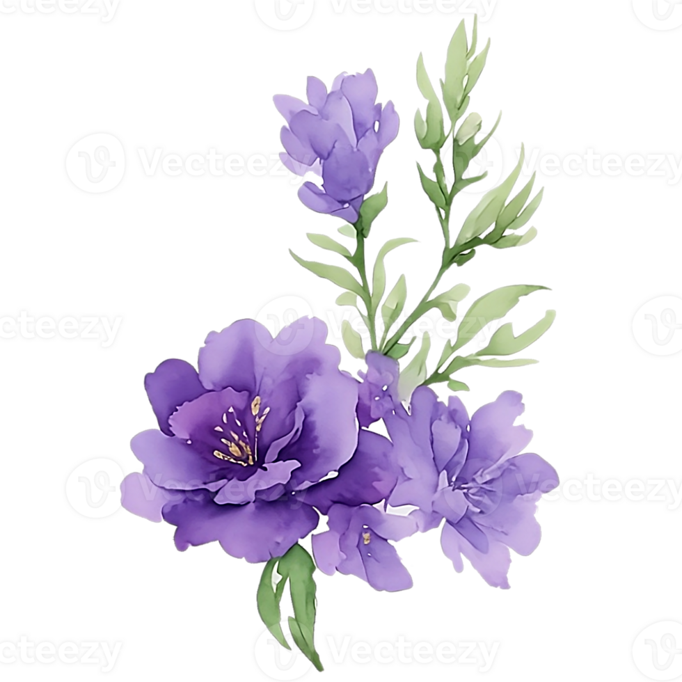Violet flower watercolor clip art 27131730 PNG