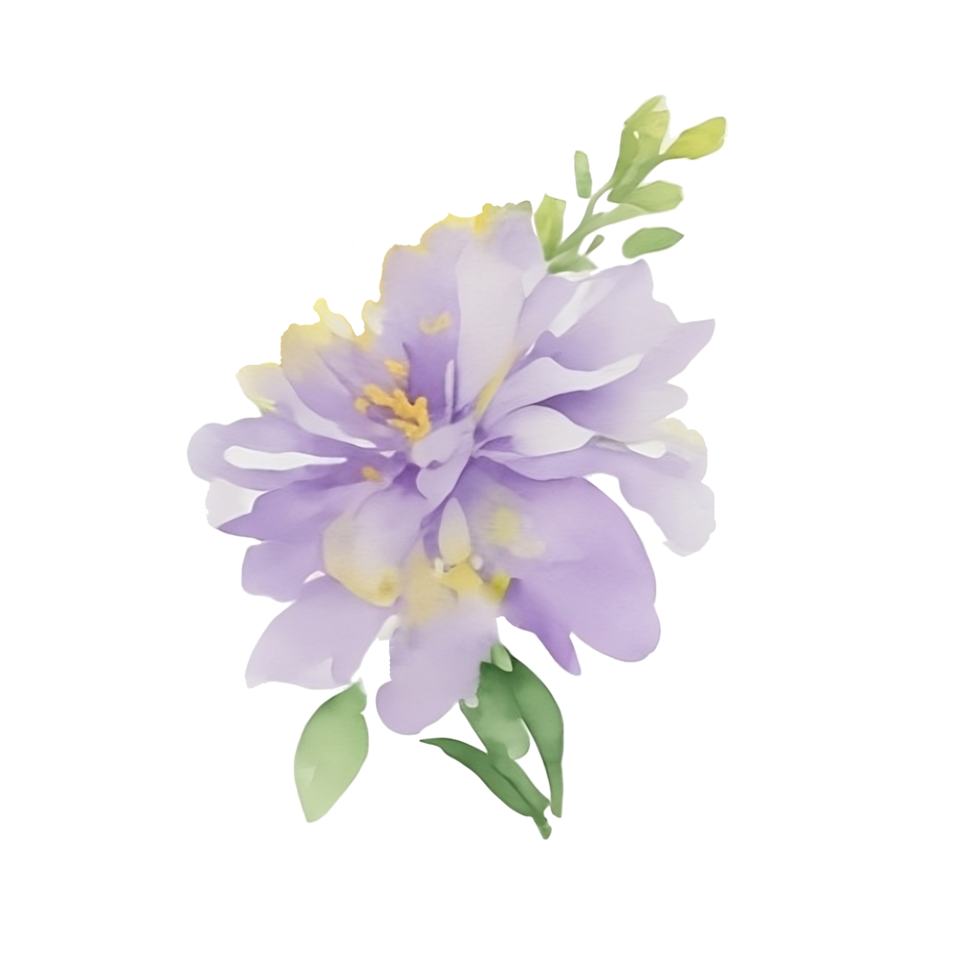 Violet flower watercolor clip art 27131737 PNG