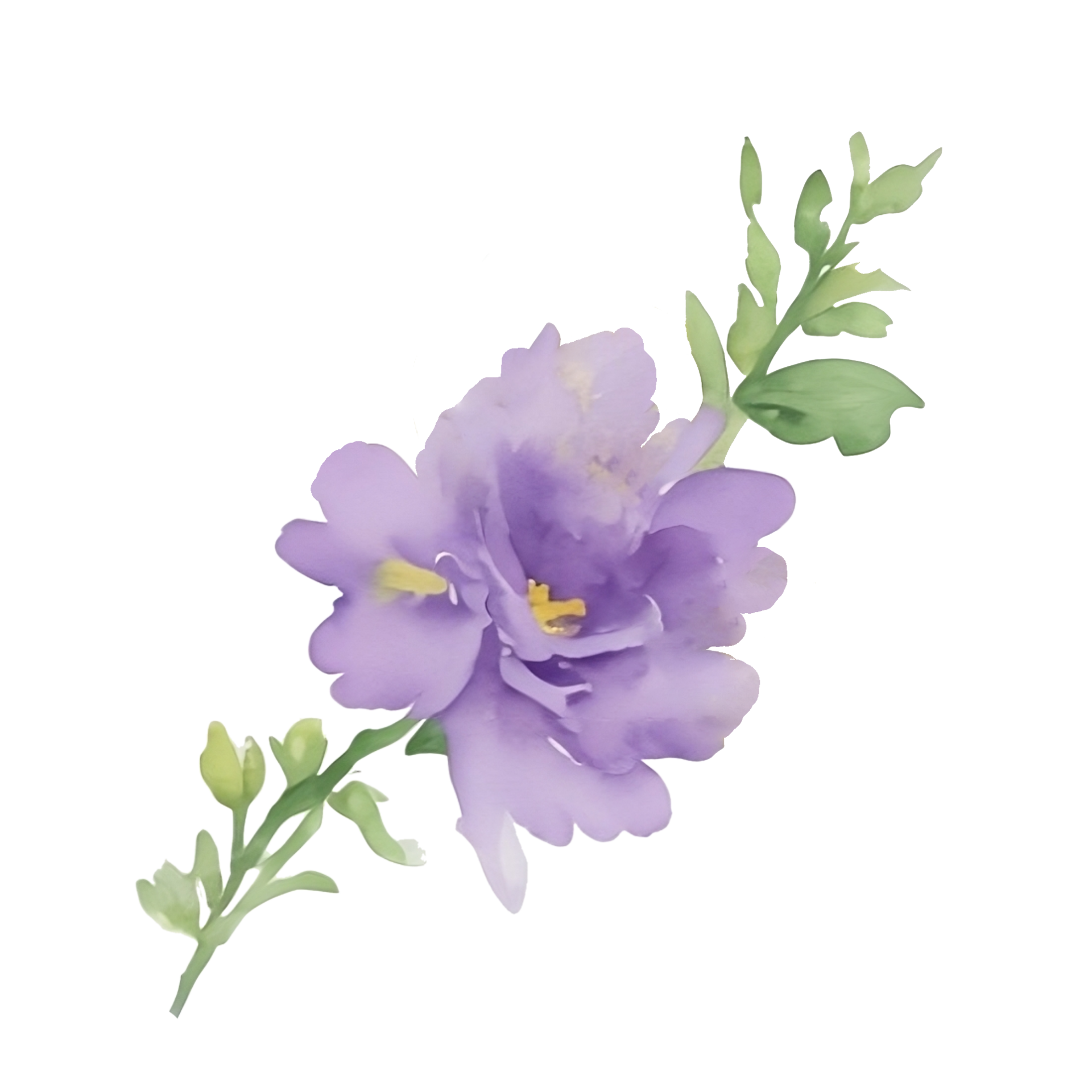 Violet flower watercolor clip art 27131739 PNG