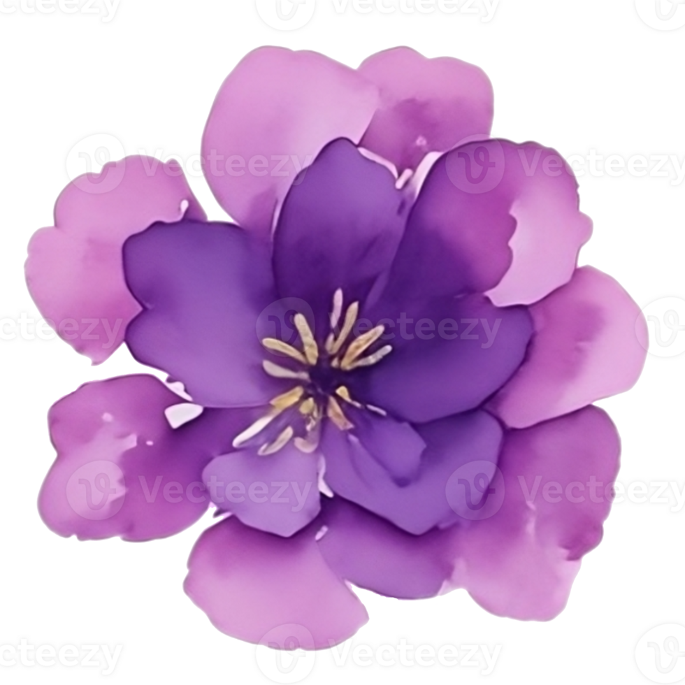 Violet flower watercolor clip art 27131740 PNG