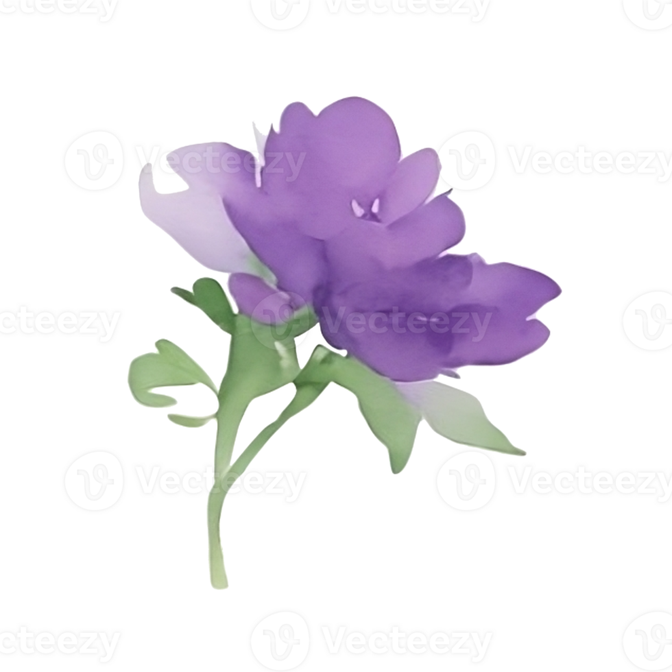 Violet flower watercolor clip art 27131741 PNG