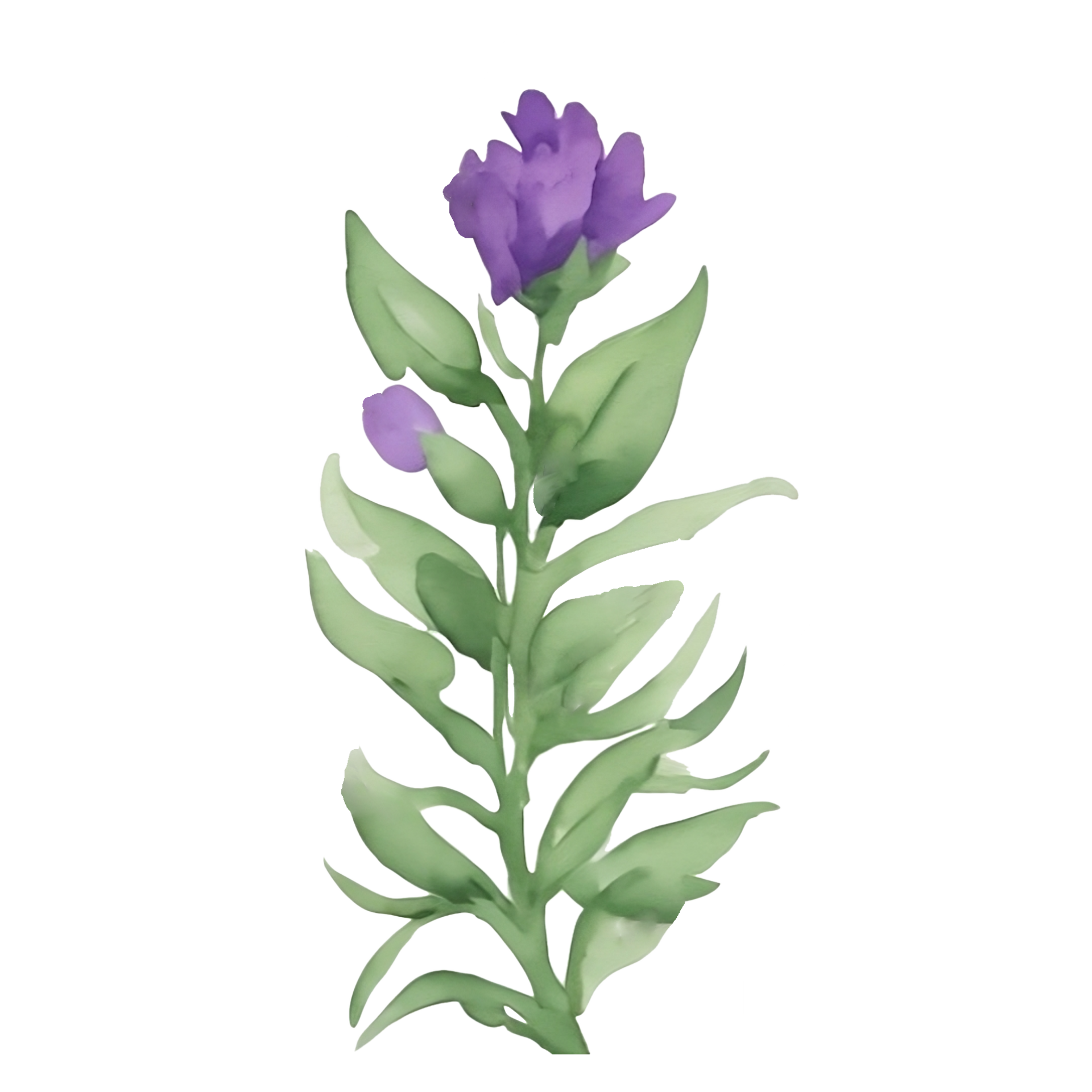 Violet flower watercolor clip art 27131742 PNG