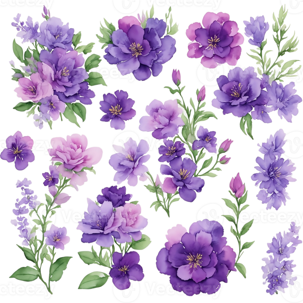 Violet flower watercolor clip art 27131745 PNG