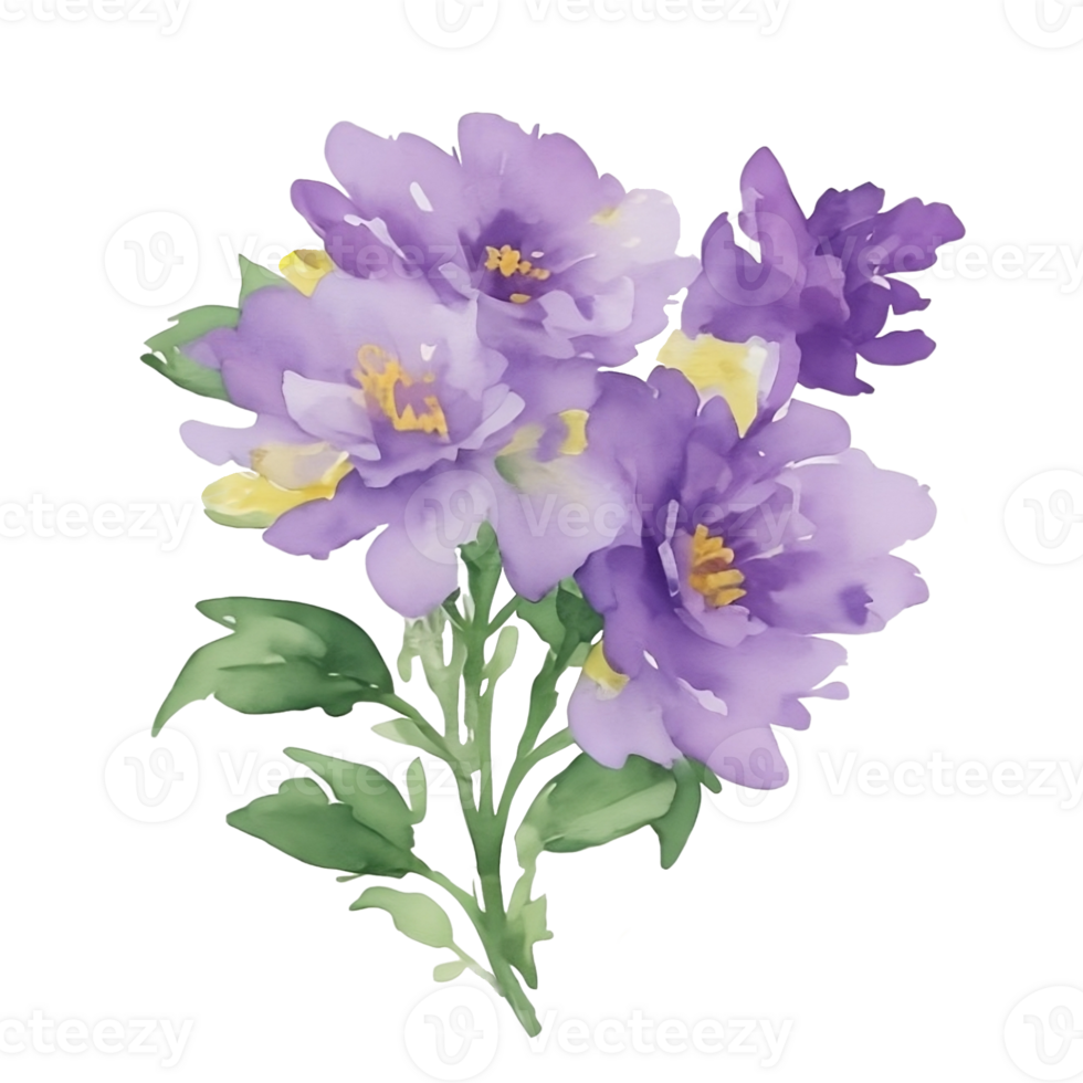 Violet flower watercolor clip art 27131746 PNG