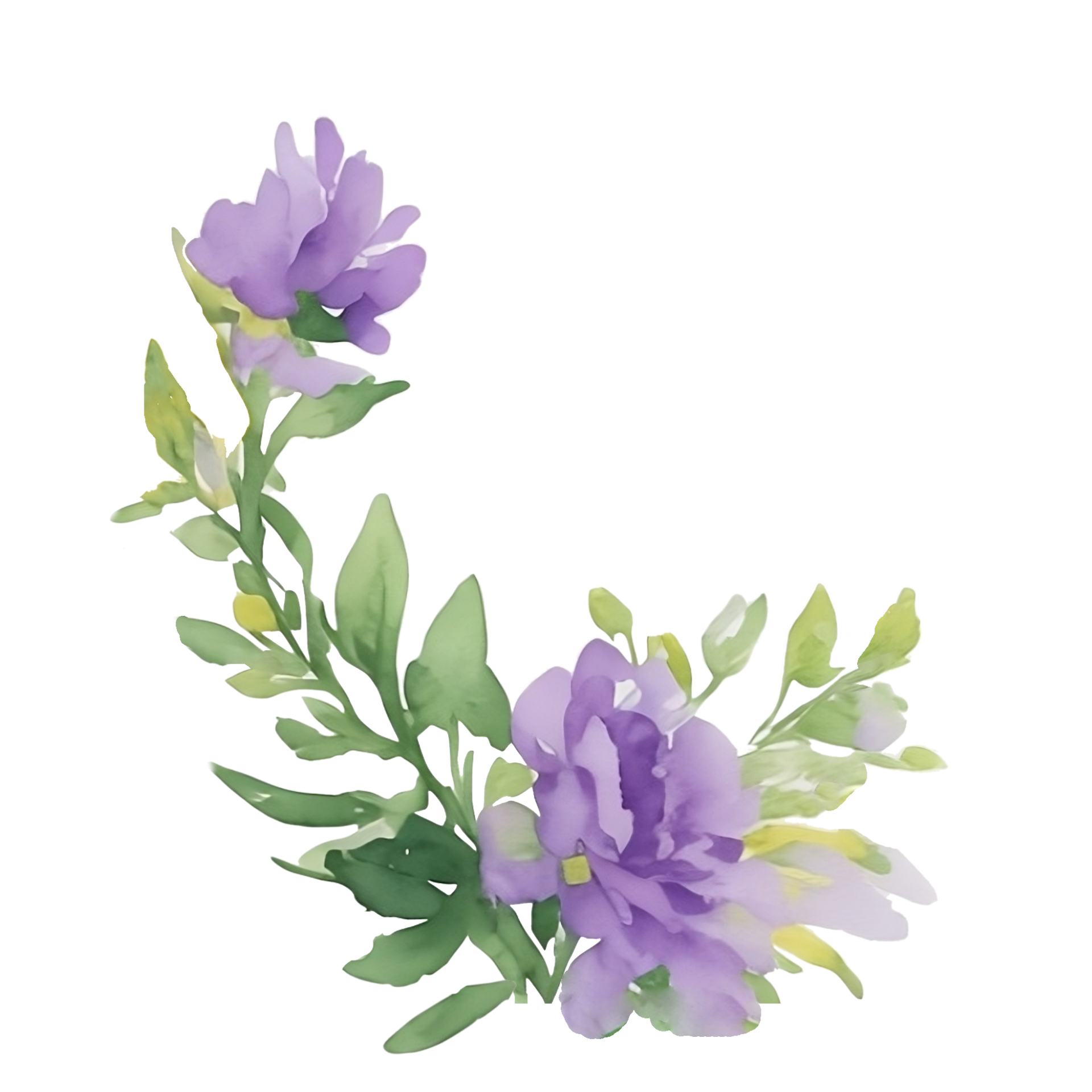 Violet flower watercolor clip art 27131752 PNG
