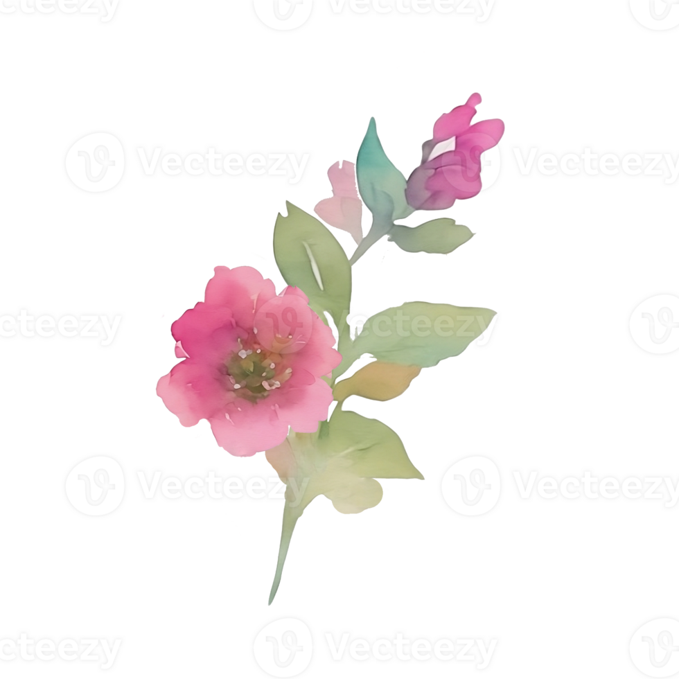 Pink flower watercolor clip art 27131882 PNG