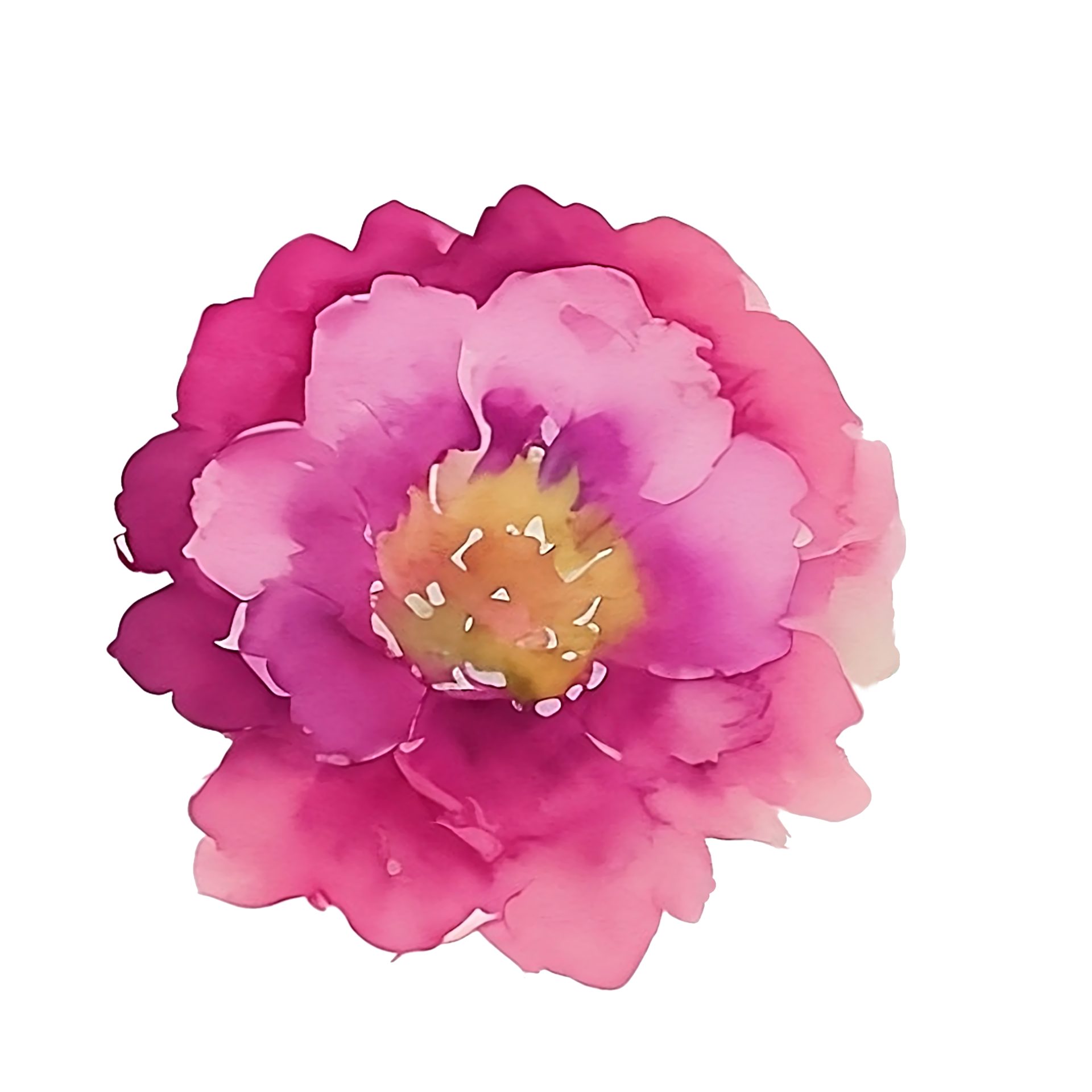 Pink flower watercolor clip art 27131889 PNG