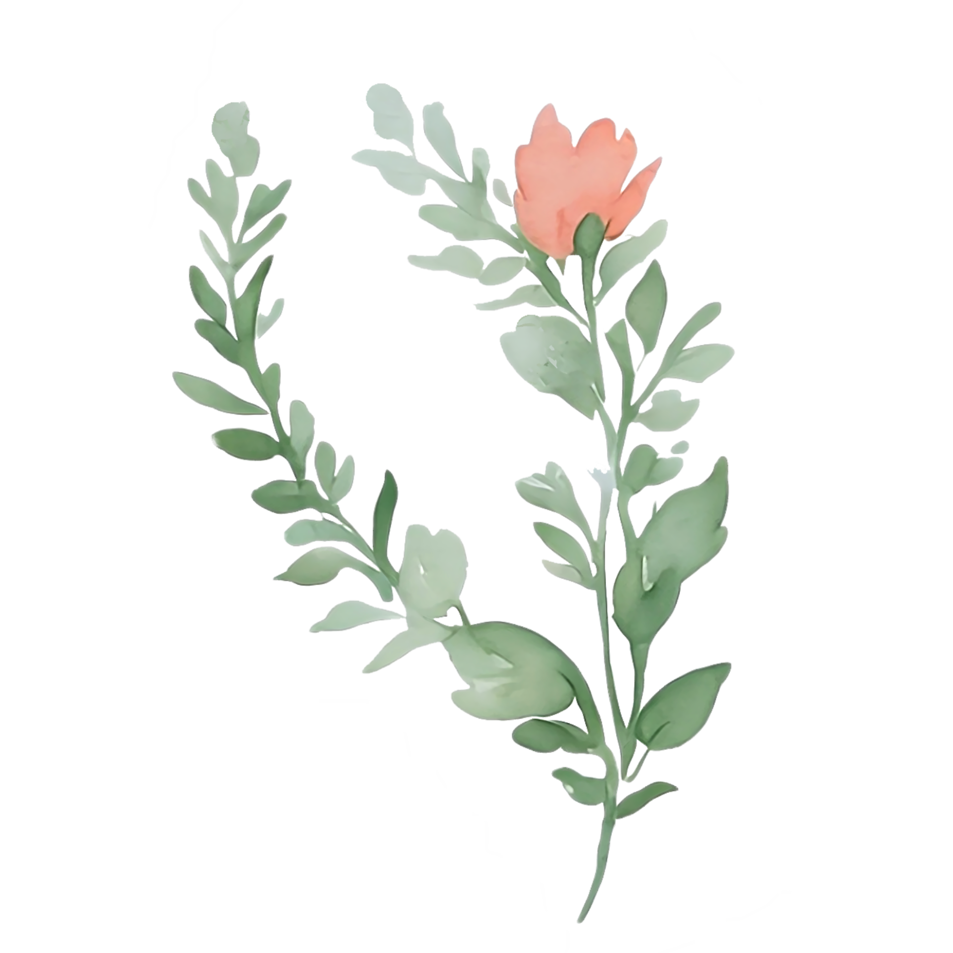 Pink flower watercolor clip art 27131894 PNG