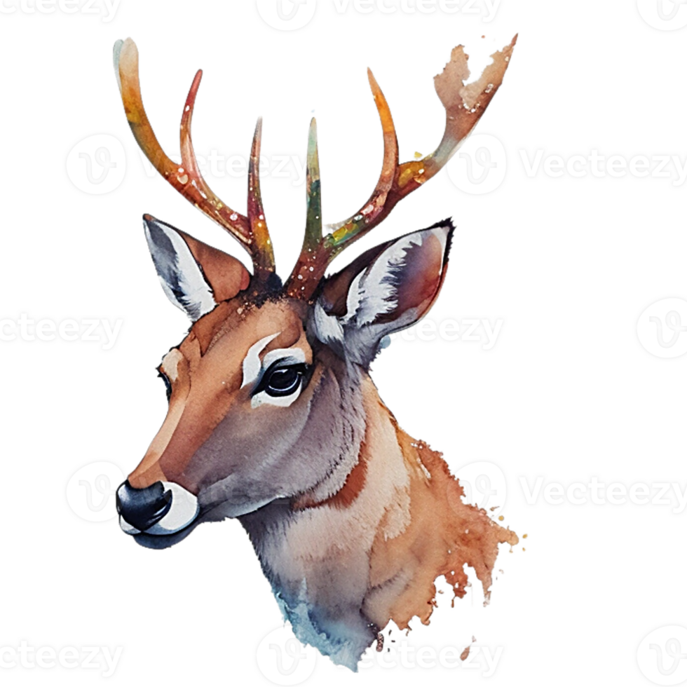 Reindeer head watercolor png