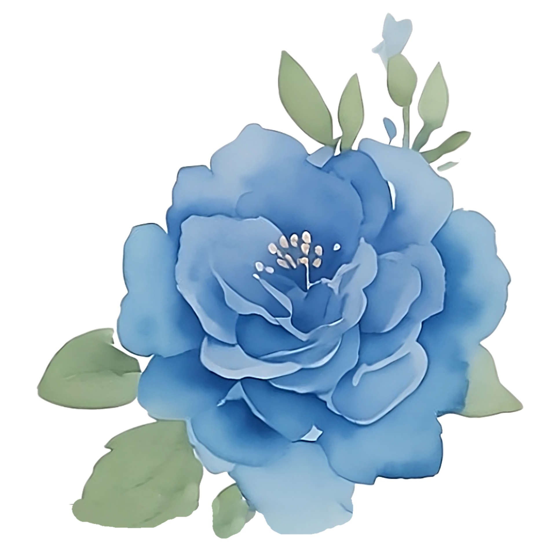 Blue flower clip art 27131935 PNG