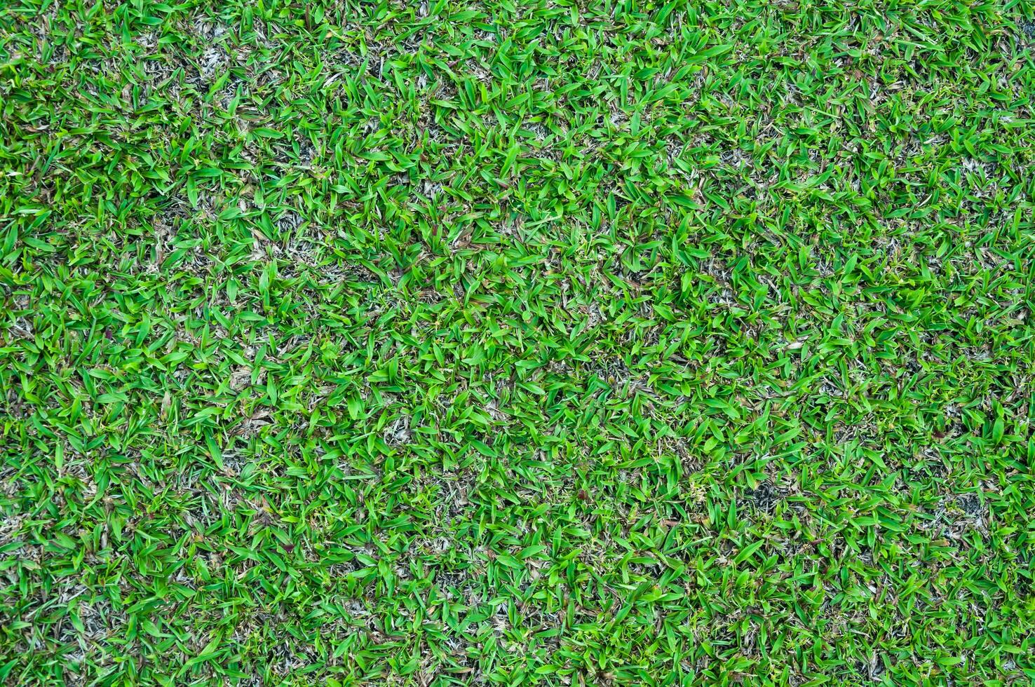 Football field green grass pattern textured background , textured grass for background photo