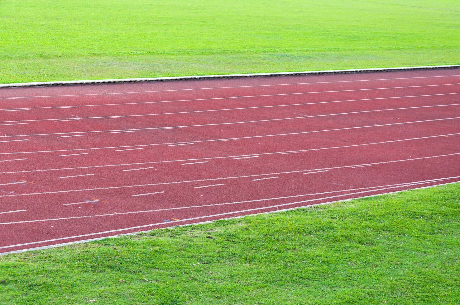 corriendo pista y verde hierba, directa atletismo corriendo pista a deporte estadio foto