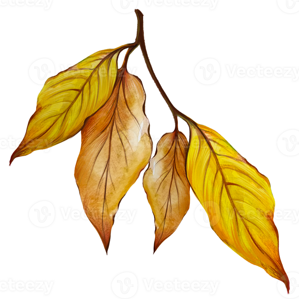 dry leaves on a tree branch watercolor illustration 27133044 PNG