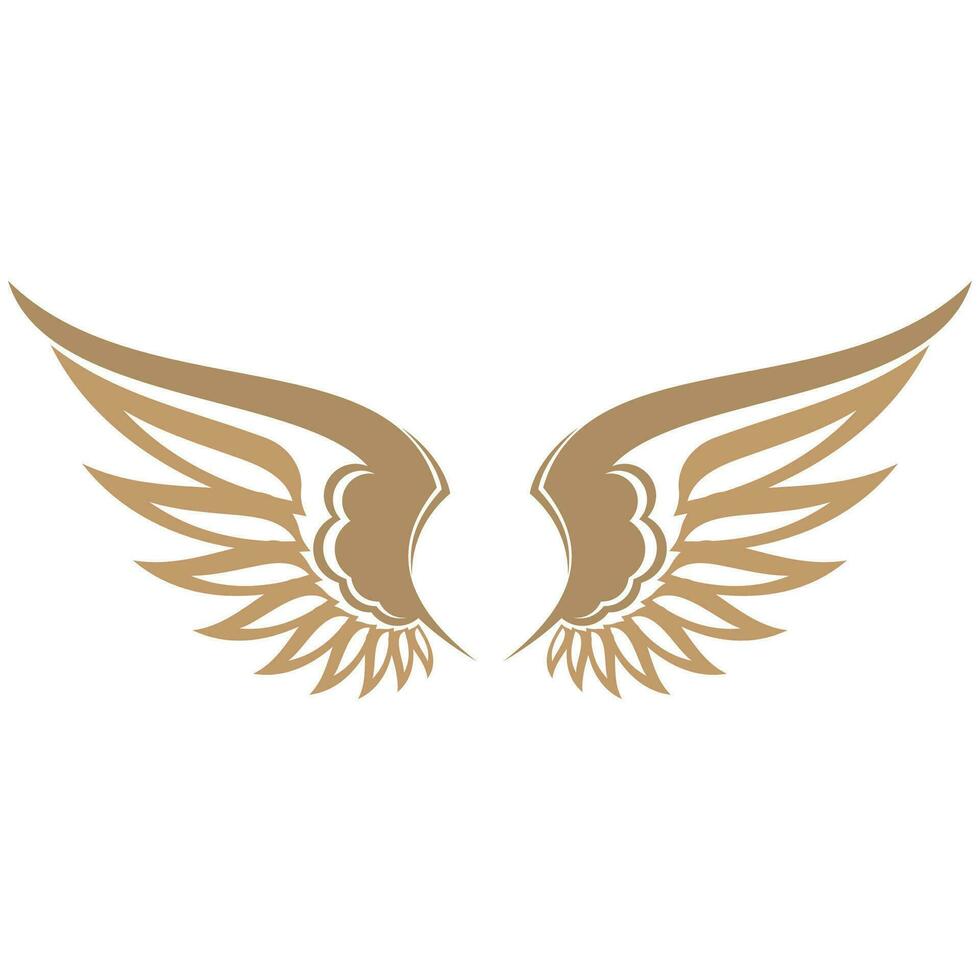 Bird wings illustration logo. vector