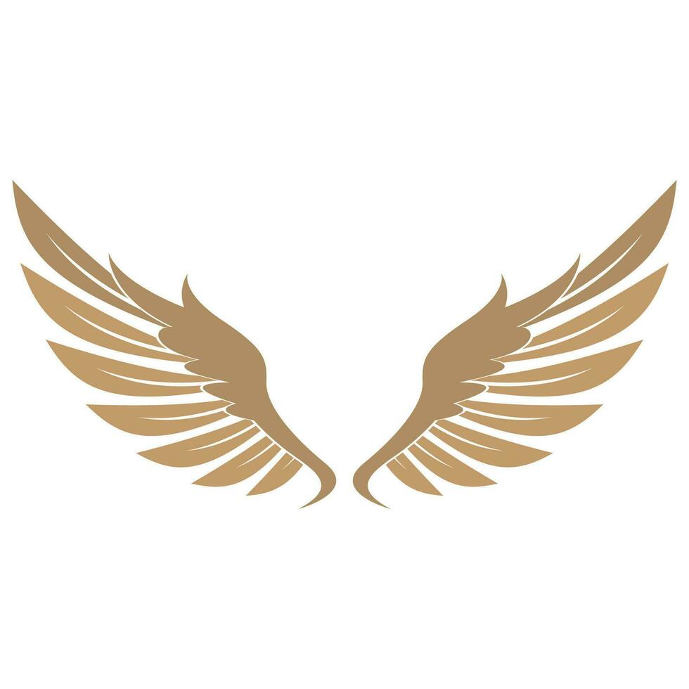 Bird wings illustration logo. vector