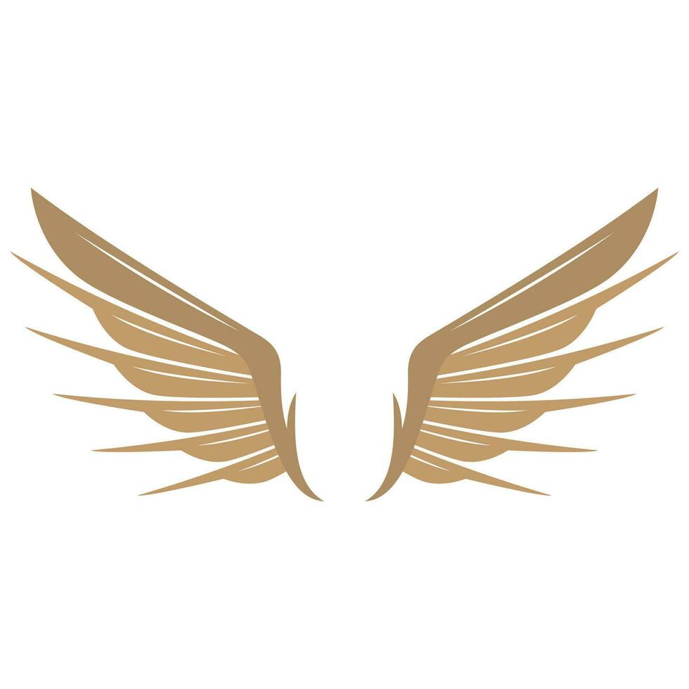 Bird wings illustration logo. vector
