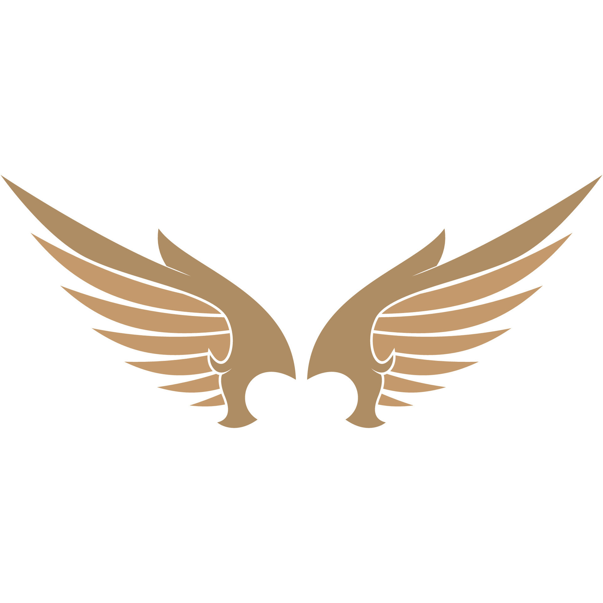 Bird wings illustration logo. 27133805 Vector Art at Vecteezy