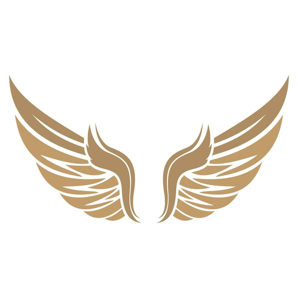 Bird wings illustration logo. vector