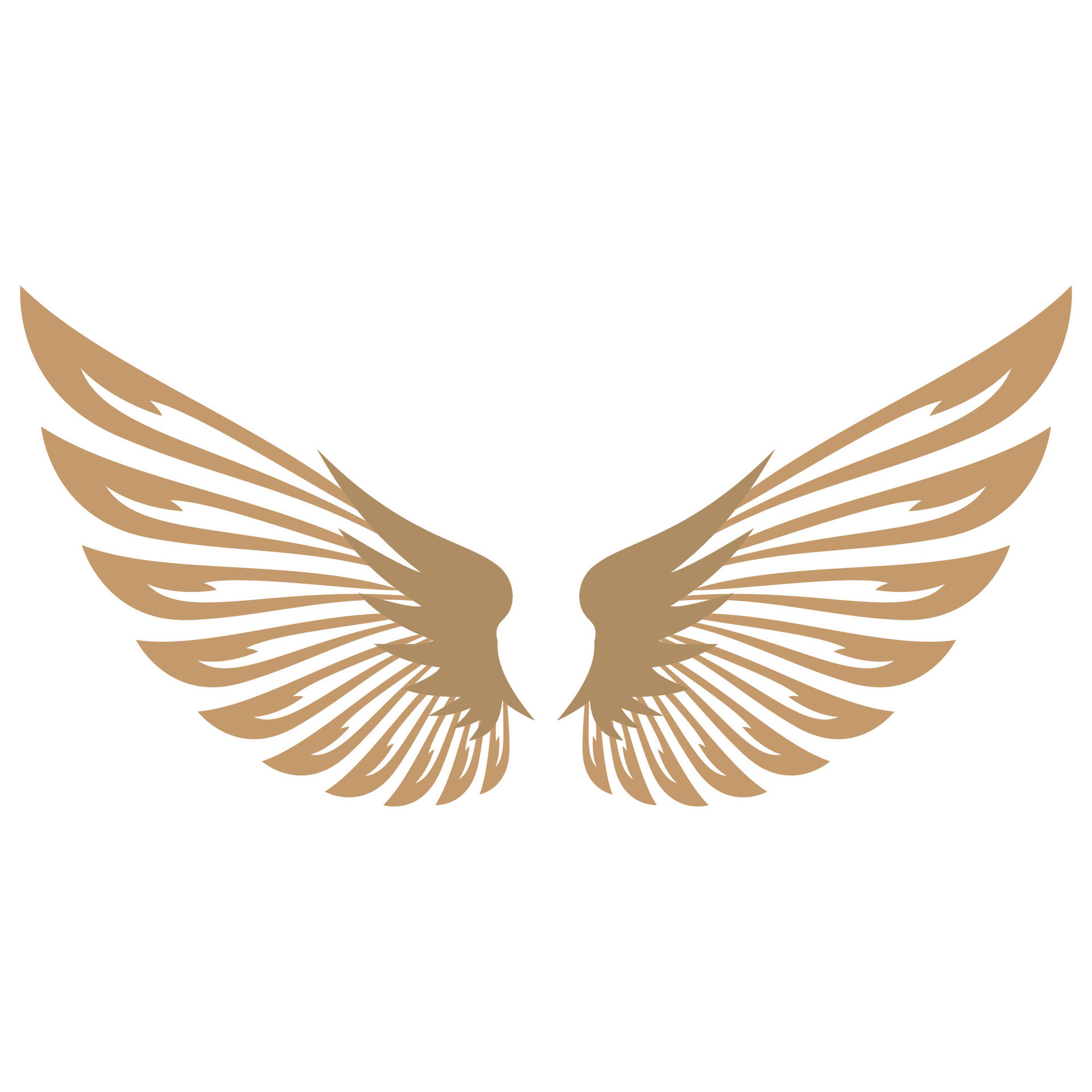 Bird wings illustration logo. 27133827 Vector Art at Vecteezy