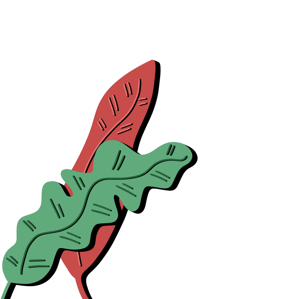 Simple leaf nature png