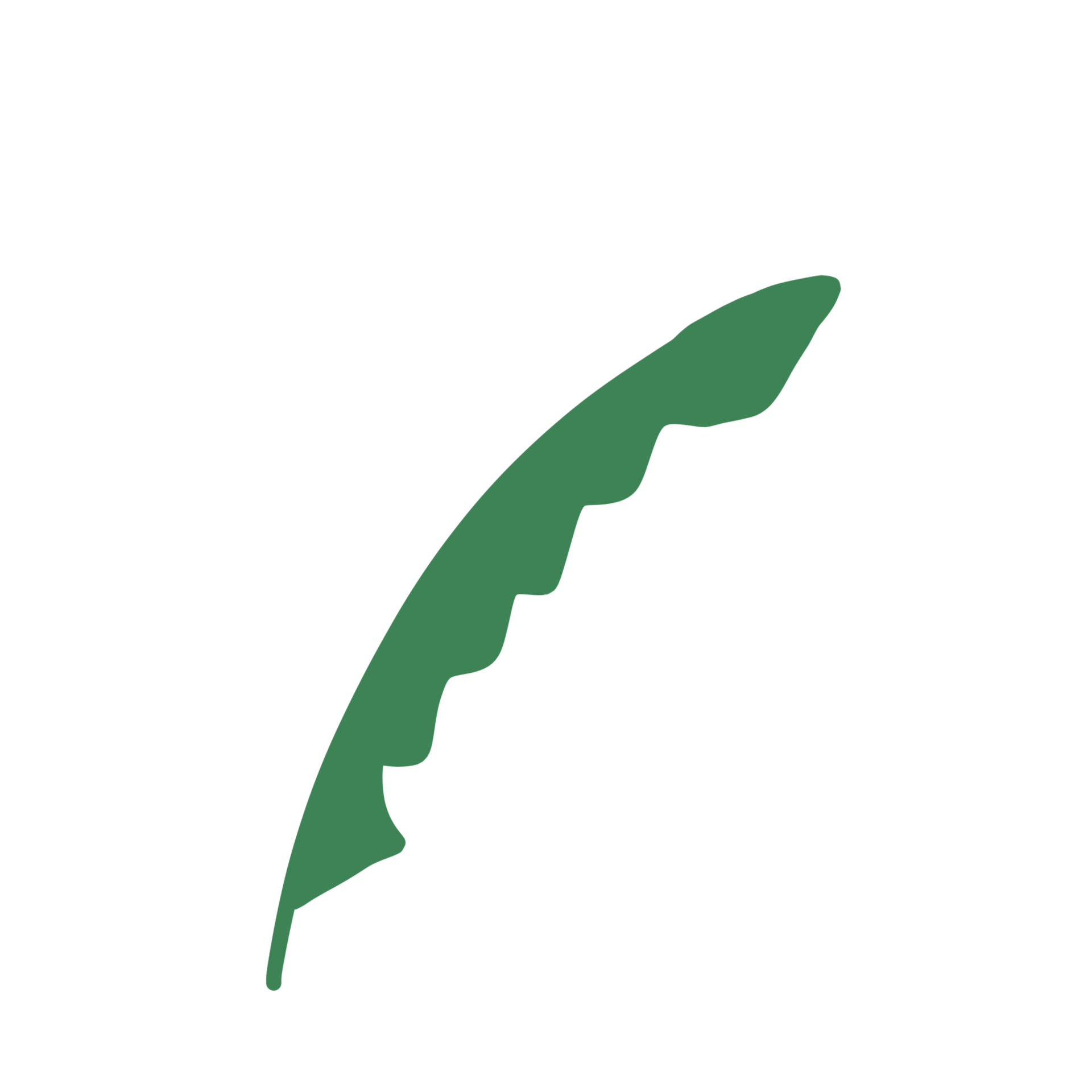 simple-leaf-nature-27134581-png