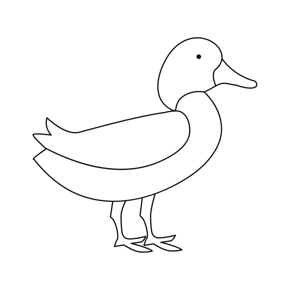 continuous single line drawing of duck water bird vector art illustration