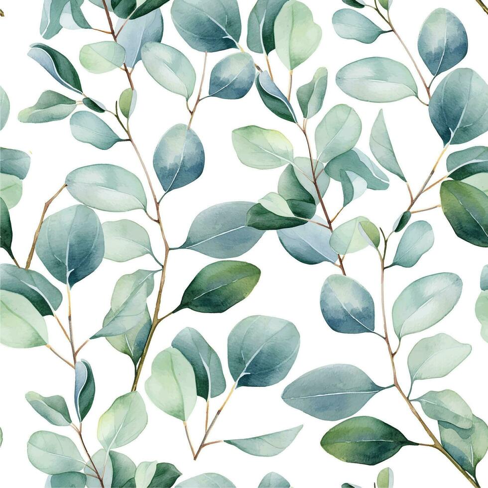 watercolor drawing. seamless pattern with eucalyptus leaves on a white background vector