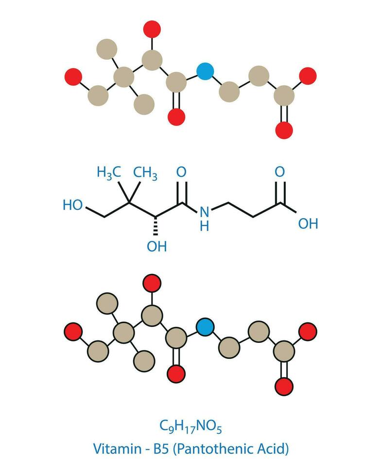 Pantothenic Acid, Vitamin B5 molecular structural chemical formula vector illustration.