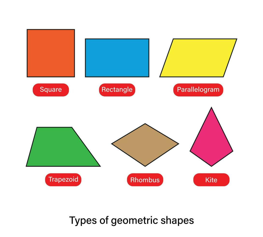 tipos de geométrico formas cuadrilátero formas nombres vector ilustración.