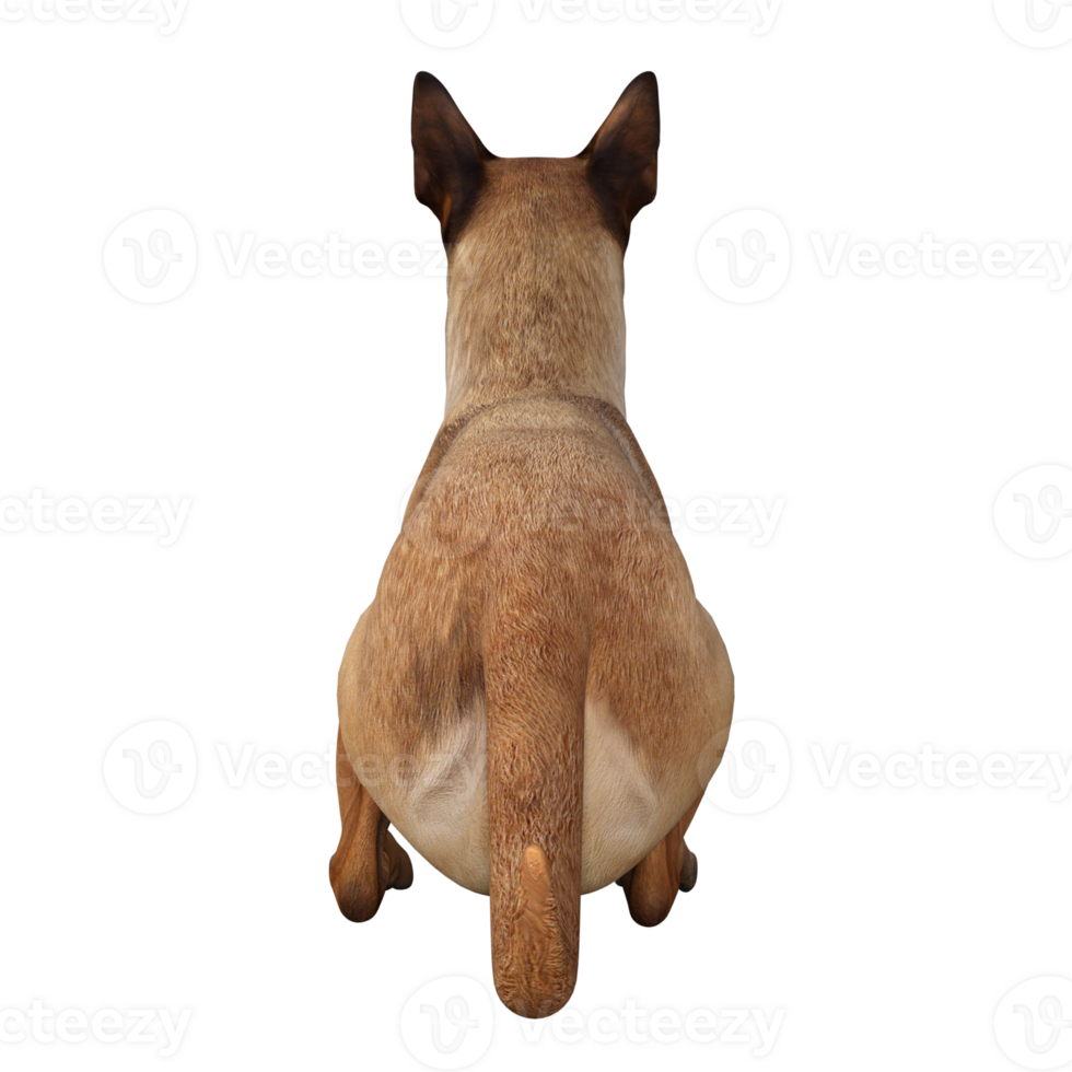 hund isolerat 3d png