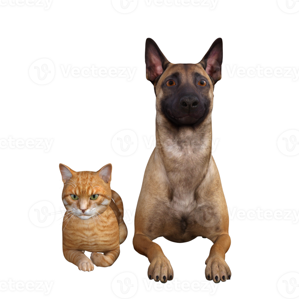 Dog And Cat Friends 27140378 PNG dog-and-cat-friends-27140378-png