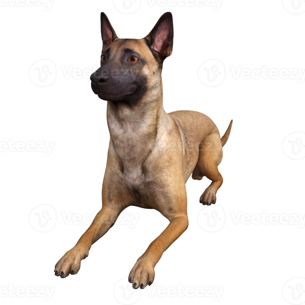 Dog isolated 3d png